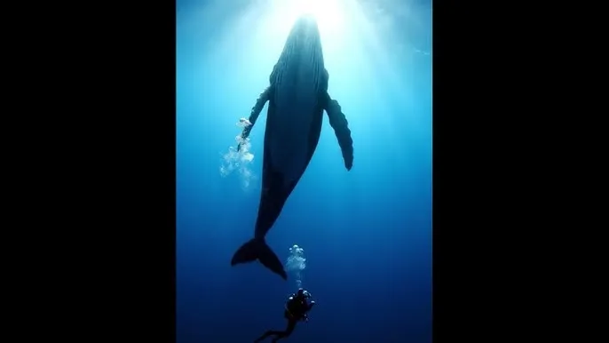 黑闰润 - 深蓝星球剧照