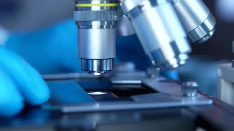 黑闰润 - 深蓝星球海洋科研团队